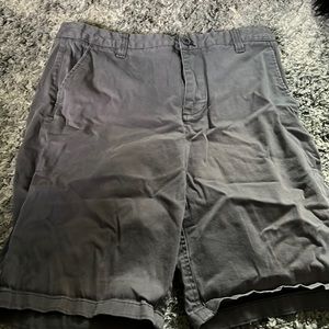 Alpine star shorts